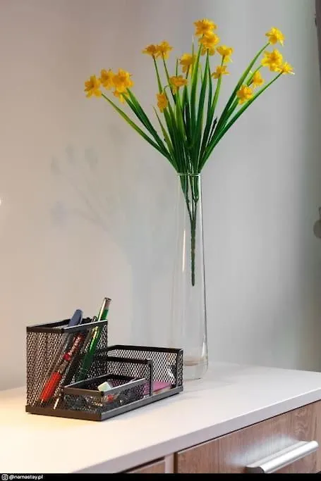 Spacious Retro Flat Close To National Stadium Warsaw Poland